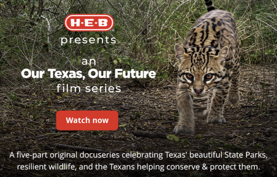 HEB presents an Our Texas, Our Future film series