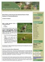 Deer eNews - Buck Fawns on the Ground:  The Awesome Power of Fawn Numbers in Producing Big Bucks