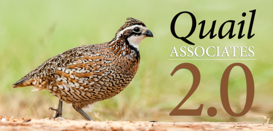 Quail Associates 2.0