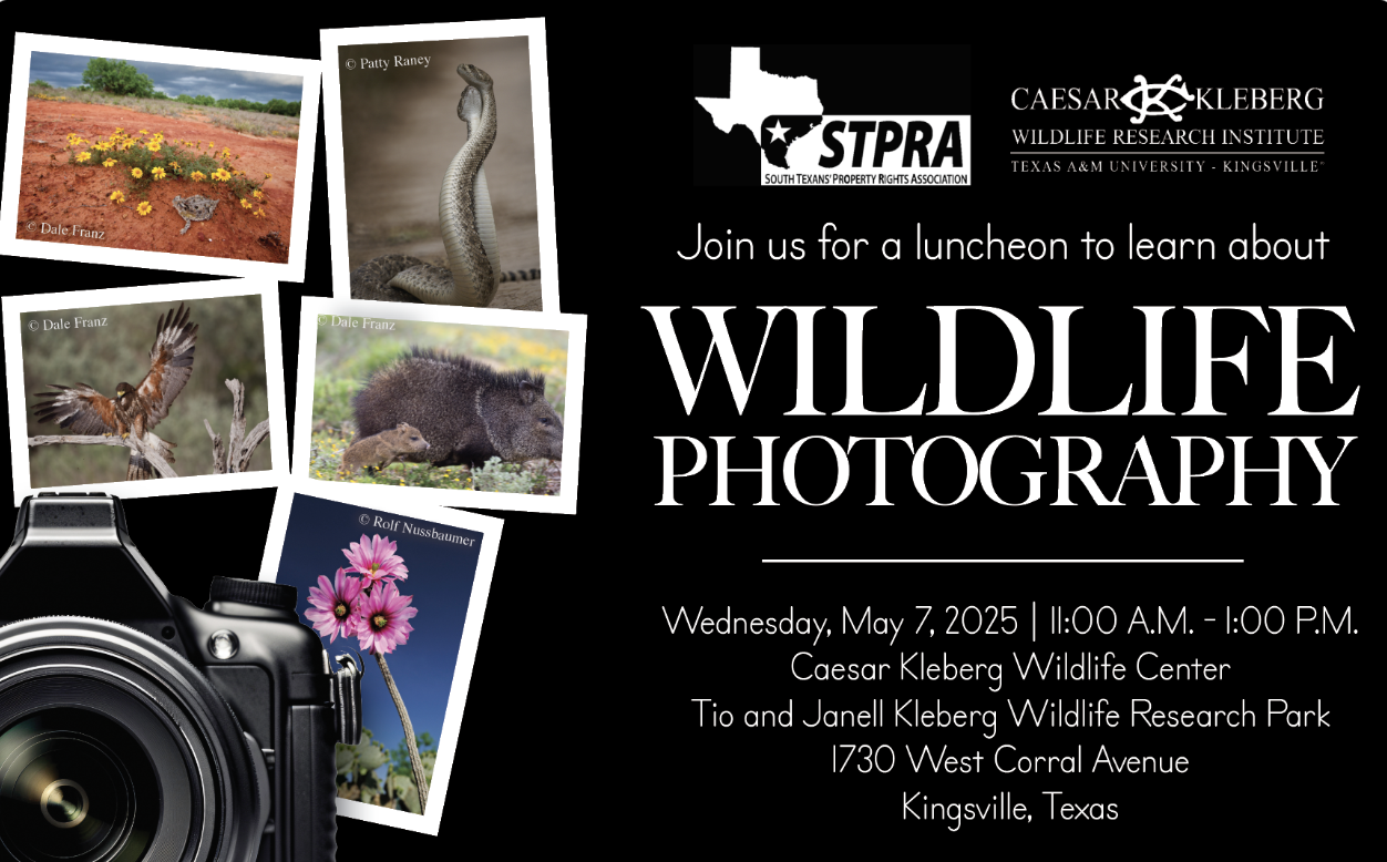 Wildlife Photography Luncheon Postcard