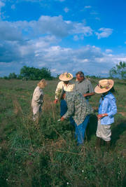 Donors in Field of Grass