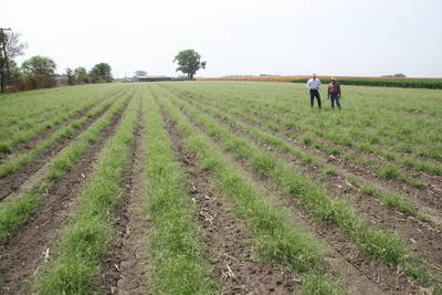 Checking Out a Field