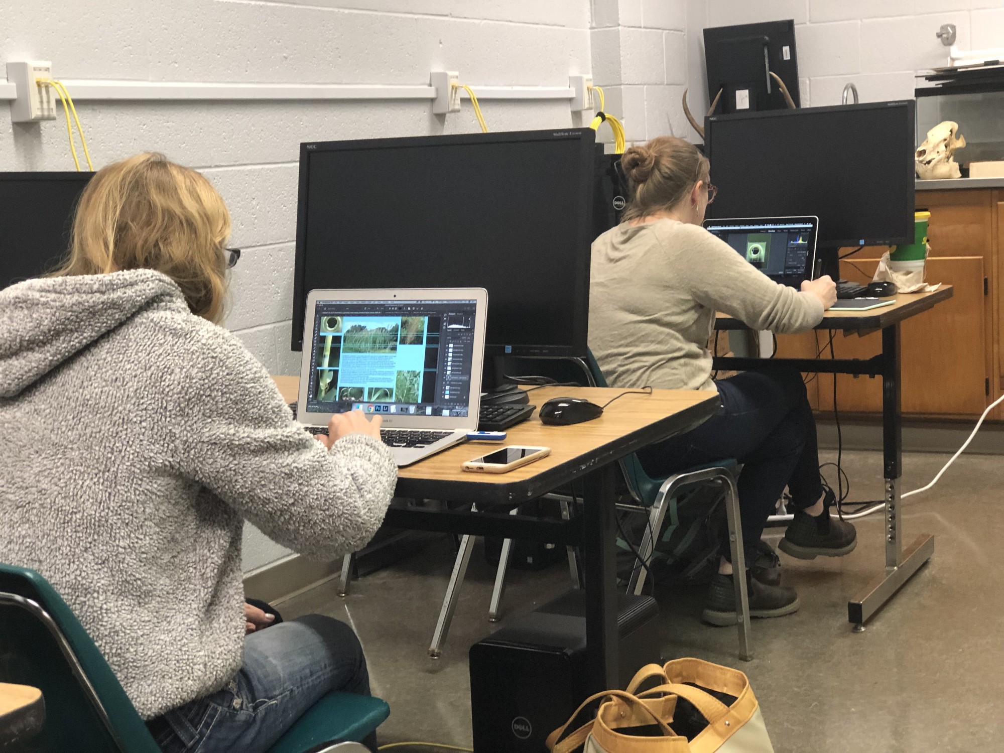 Students processing digital photographs in wildlife computer photography lab 