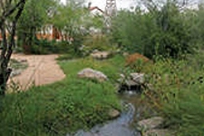 The A. E. Leonard Family Native Plant Garden