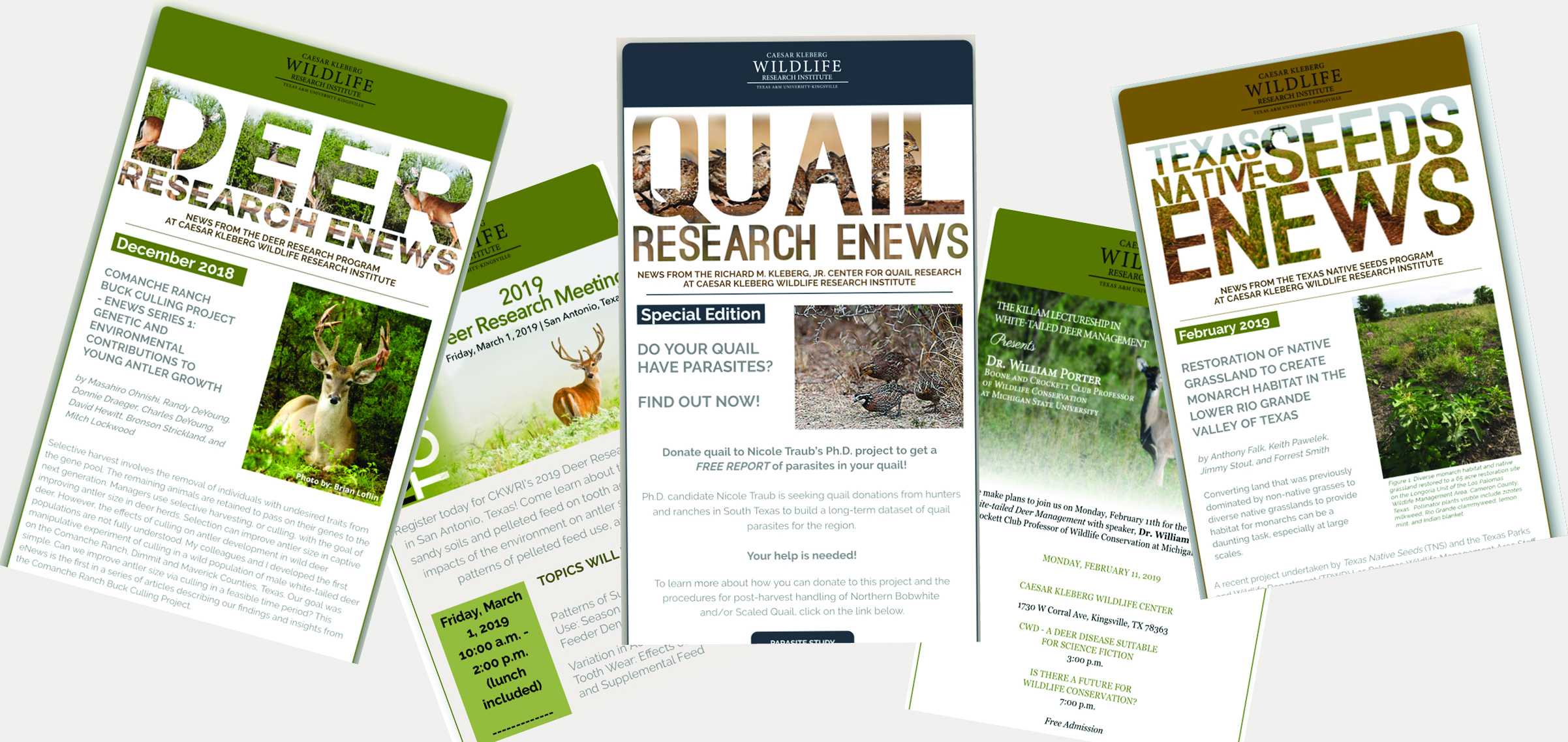 Texas A And M Wildlife Job Board - TEXASXO
