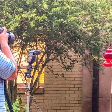 Alex Meza photographing hummingbirds in Wildlife Photography class