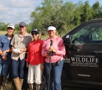 Four graduate students in outdoor field gear stand beside a black pickup truck labeled “Caesar Kleberg Wildlife Research Institute, Texas A&M University–Kingsville.” One person holds a drone controller, and another holds a field tool, with tall grass and trees in the background under a partly cloudy sky.