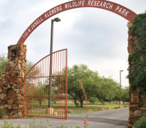 Entrance gate to the Tio & Janelle Kleberg Wildlife Research Park with a red arch and stone pillars surrounded by greenery.