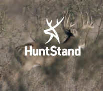 White-tailed deer moving through the brush with Huntstand logo