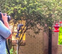 Alex Meza photographing hummingbirds in Wildlife Photography class