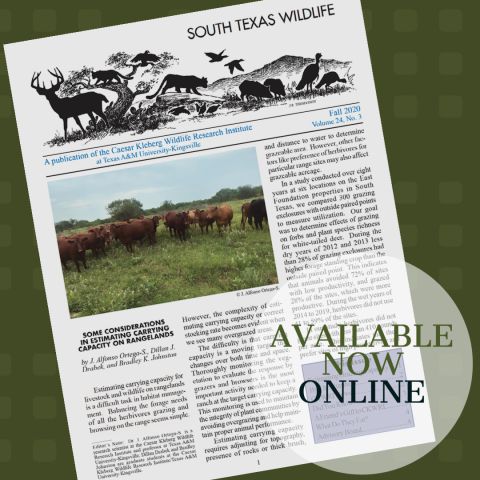 News Posts Import News Posts Import