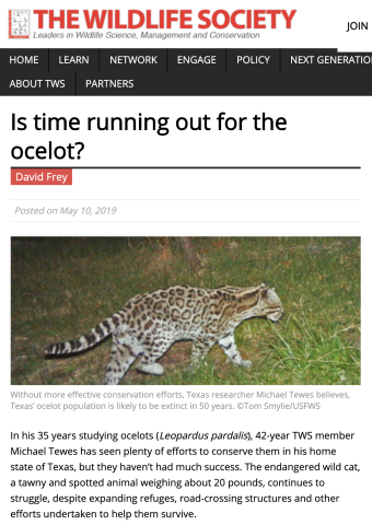 News Posts Import News Posts Import