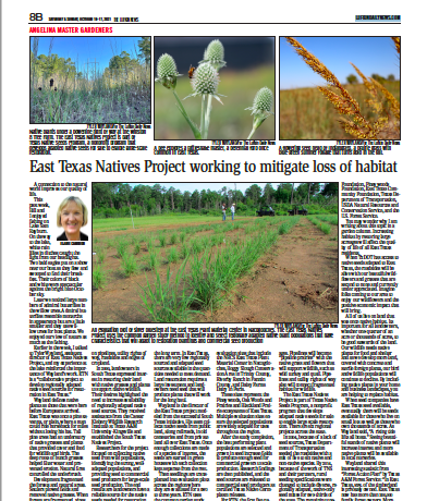 News Posts Import News Posts Import