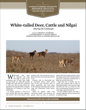 White-tailed Deer, Cattle and Nilgai