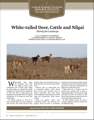 White-tailed Deer, Cattle and Nilgai White-tailed Deer, Cattle and Nilgai