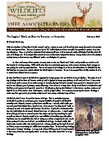 Deer eNews - The Logical Buck, or How to Become an Ancestor Deer eNews - The Logical Buck, or How to Become an Ancestor