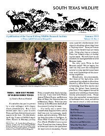 South Texas Wildlife Newsletter - Summer 2014