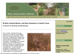 Deer eNews - El Nino, Dished Molars, and Deer Dynamics in South Texas Deer eNews - El Nino, Dished Molars, and Deer Dynamics in South Texas