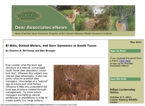 Deer eNews - El Nino, Dished Molars, and Deer Dynamics in South Texas