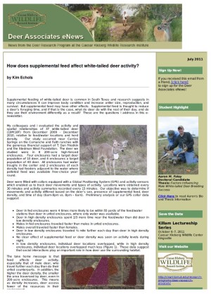 Deer eNews - How Does Supplemental Feed Affect White-tailed Deer Activity? Deer eNews - How Does Supplemental Feed Affect White-tailed Deer Activity?