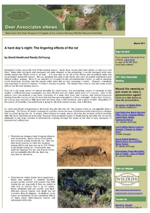 Deer eNews - A Hard Day's Night: The Lingering Effects of the Rut Deer eNews - A Hard Day's Night: The Lingering Effects of the Rut