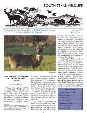 South Texas Wildlife Newsletter - Spring 