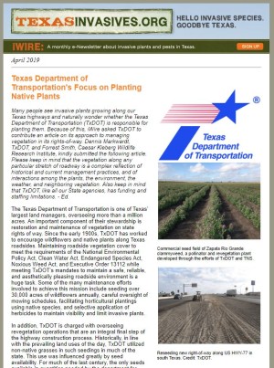 Texas Department of Transportation's Focus on Planting Native Plants