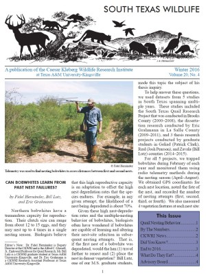South Texas Wildlife Newsletter - Winter 2016