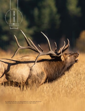 Elk cover of article