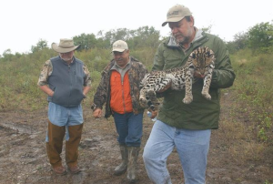 Dr. Michael Tewes holding an ocelot