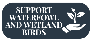 Support Waterfowl and Wetlands Birds