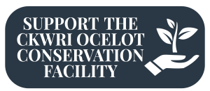 Support the CKWRI Ocelot Conservation Facility