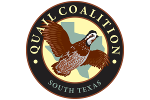 South Texas Quail Coalition logo