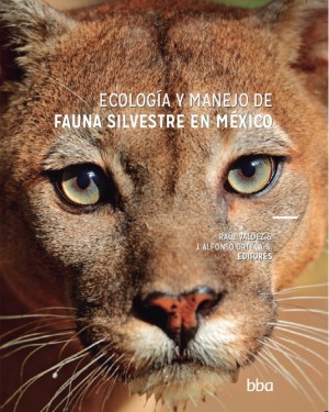 Publications IMport Publications IMport