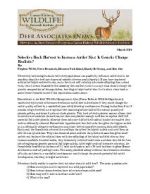 Deer eNews - Selective Buck Harvest to Increase Antler Size: Is Genetic Change Realistic?