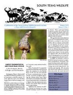 South Texas Wildlife Newsletter - Winter 2014