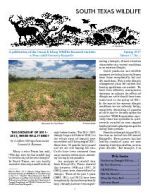 South Texas Wildlife Newsletter - Spring 2013