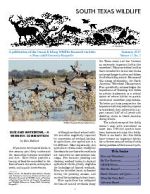 South Texas Wildlife Newsletter - Summer 2013