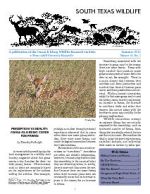 South Texas Wildlife Newsletter - Summer 2012