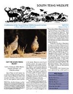 South Texas Wildlife Newsletter - Fall 2012