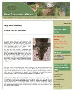 Deer eNews - Early Antler Shedding