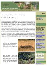 Deer eNews - A Hard Day's Night:  The Lingering Effects of the Rut