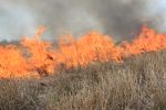 Fighting Wildfire with Prescribed Fire