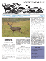 South Texas Wildlife Newsletter -  Fall 2019