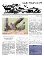 South Texas Wildlife Newsletter -  Summer 2020