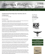 Supplemental Feed Helps Deer Nutrition, But It’s Complicated