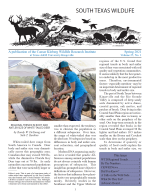  South Texas Wildlife Newsletter - Spring 2021