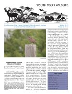 South Texas Wildlife Newsletter - Winter 2017