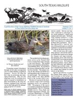 South Texas Wildlife Newsletter - Summer 2021