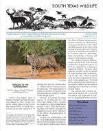 South Texas Wildlife Newsletter - Spring 2018